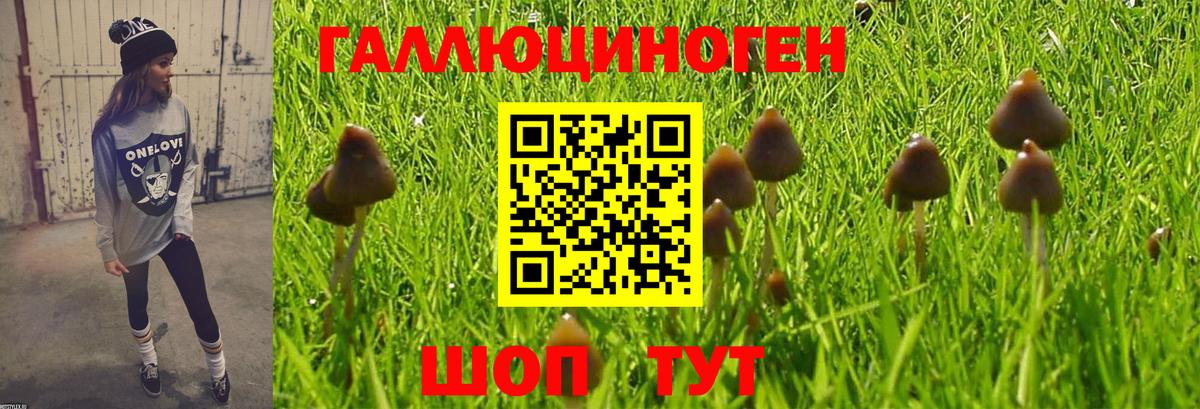 Галлюциногенные грибы мицелий Кстово